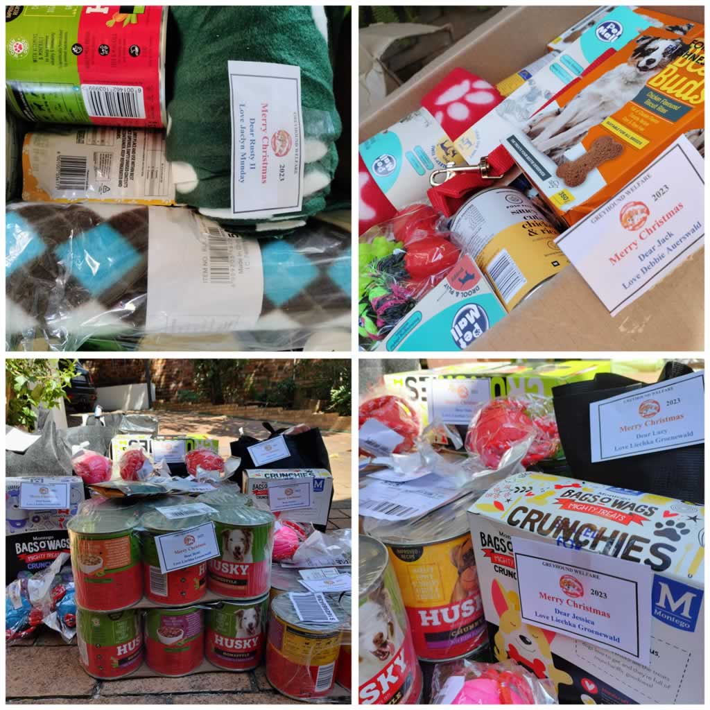 Greyhound Welfare South Africa
